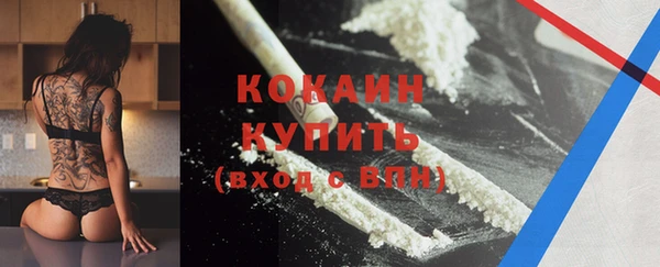 крисы Верхний Тагил