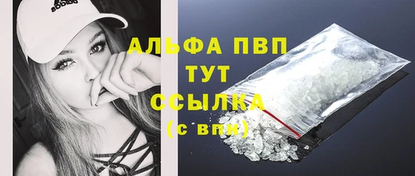 крисы Верхний Тагил