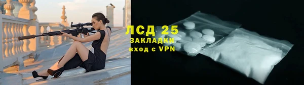 крисы Верхний Тагил