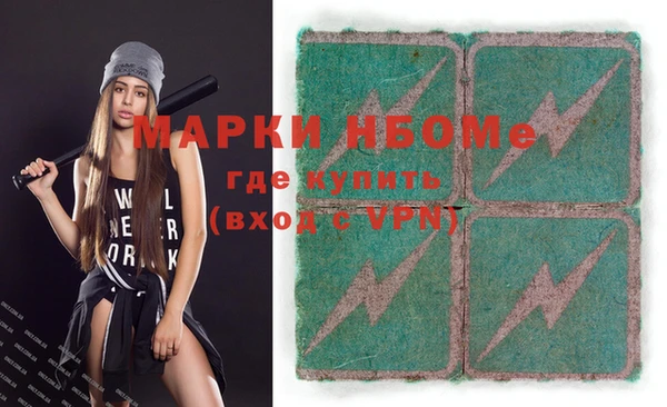 крисы Верхний Тагил