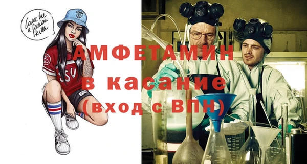 крисы Верхний Тагил
