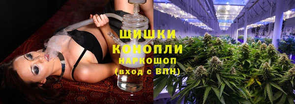 крисы Верхний Тагил